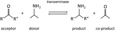 Application of tight membrane extraction for amines separation